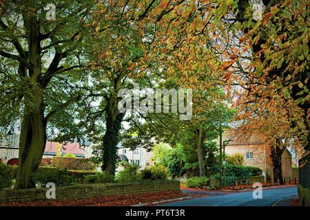 La capture de colorations d'automne très riche en haute Melton, dans la région de Doncaster, dans le Yorkshire du Sud. Banque D'Images