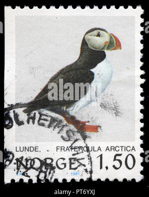 Timbre cachet de la Norvège a publié en 1981 dans la série des Oiseaux Banque D'Images