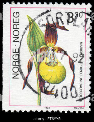 Timbre cachet de la Norvège dans la série émise en 1992 Orchidées Banque D'Images