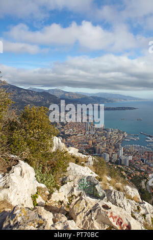 Avis de Montecarlo de la tête de chien, Principauté de Monaco Banque D'Images