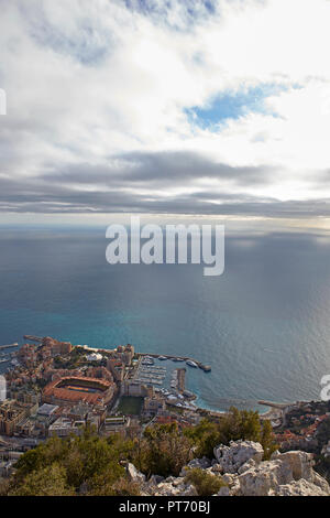 Avis de Montecarlo de la tête de chien, Principauté de Monaco Banque D'Images