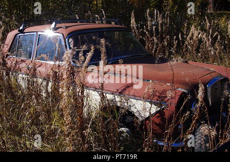 Une vieille voiture rouillée et dans la forêt Banque D'Images