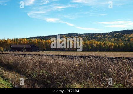 Belles couleurs d'automne dans les forêts et les lacs autour de la Suède rurale. Banque D'Images