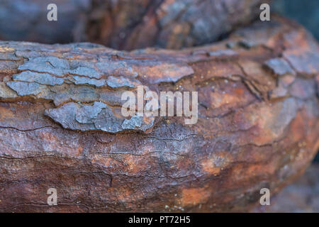 Gros plan sur une épaisse couche de rouille sur une chaîne d'alésage très robuste.Texture abstraite de métal rouillé.Pour la corrosion, le maillon faible, le point faible, la faiblesse. Banque D'Images