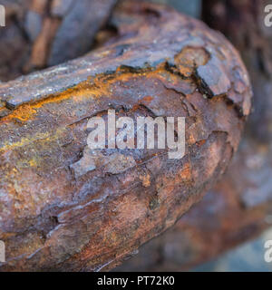 Gros plan sur une épaisse couche de rouille sur une chaîne d'alésage très robuste.Texture abstraite de métal rouillé.Pour la corrosion, le maillon faible, le point faible, la faiblesse. Banque D'Images