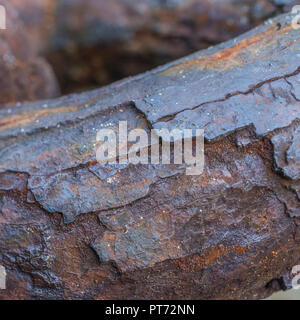 Gros plan sur une épaisse couche de rouille sur une chaîne d'alésage très robuste.Texture abstraite de métal rouillé.Pour la corrosion, le maillon faible, le point faible, la faiblesse. Banque D'Images