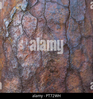 Gros plan sur une épaisse couche de rouille sur une chaîne d'alésage très robuste.Texture abstraite de métal rouillé.Pour la corrosion, le maillon faible, le point faible, la faiblesse. Banque D'Images