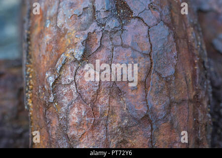 Gros plan sur une épaisse couche de rouille sur une chaîne d'alésage très robuste.Texture abstraite de métal rouillé.Pour la corrosion, le maillon faible, le point faible, la faiblesse. Banque D'Images