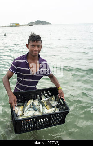 Garçon montrant fièrement les captures de poisson frais sur la plage de Santa Marta, Colombie. Sep 2018 Banque D'Images