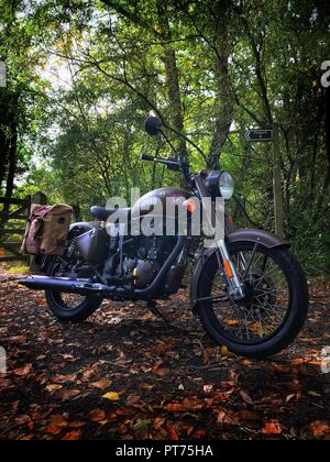 Royal Enfield Pegasus en automne bois Banque D'Images