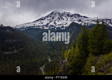 Un panorama à Mount Rainier National Park avec Mt Rainier couvert de neige sur un sombre jour nuageux, l'état de Washington, USA. Banque D'Images