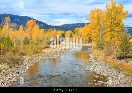 Couleurs d'automne le long de la North Fork River blackfoot près de Ovando, Montana Banque D'Images