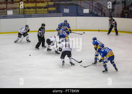 Milan, Italie. 7 octobre, 2018. Asiago Hockey Hockey Milano Rossoblù répond aux 1935 dans un match de la Ligue de hockey des Alpes Crédit : Luca Quadrio/Alamy Live News Banque D'Images