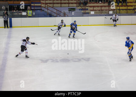 Milan, Italie. 7 octobre, 2018. Asiago Hockey Hockey Milano Rossoblù répond aux 1935 dans un match de la Ligue de hockey des Alpes Crédit : Luca Quadrio/Alamy Live News Banque D'Images