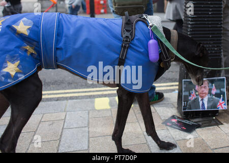Londres, Royaume-Uni. 7 Oct, 2018. Wooferendum : mars chien chiens contre Brexit mars à Westminster à Londres Crédit : Louise Wateridge/ZUMA/Alamy Fil Live News Banque D'Images