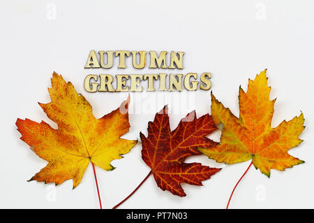 Salutations automne écrit avec des lettres en bois coloré d'automne et de feuilles d'érable sur fond blanc Banque D'Images