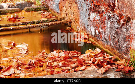 L'automne dans la province de Belluno Banque D'Images