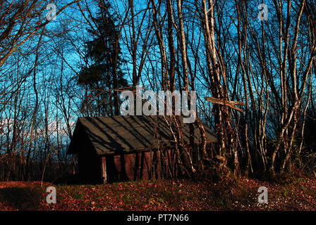 Une cabane dans la forêt d'automne Banque D'Images