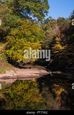 Couleurs d'automne sur la rivière Ericht, Blairgowrie, Perthshire, en Écosse. Banque D'Images