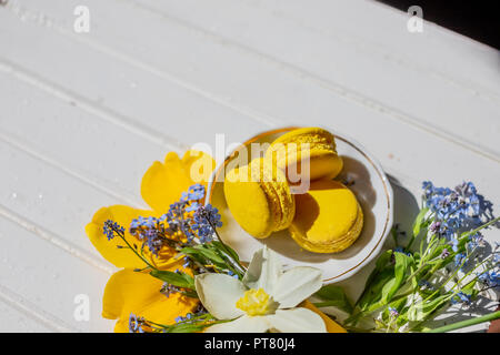 Belle Nature morte avec fleurs et biscuits macaron citron.dessert isolated.Copy space.chocolat : désert sur table en bois blanc.dessert savoureux télévision lay et jonquilles et forget-me-not fleurs. Banque D'Images
