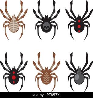 Vector set of spider icônes. collection de dessins araignées isolé sur fond blanc Illustration de Vecteur