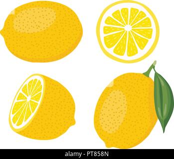 Vector set citron isolé sur fond blanc. tout et couper les citrons collection Illustration de Vecteur