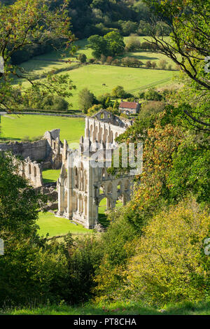 Les premiers signes de l'automne à l'abbaye de Rievaulx vue depuis la terrasse, près de Helmsley, le North Yorkshire Moors, l'Angleterre. Banque D'Images