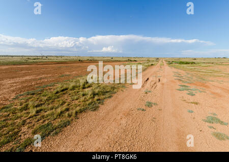 Piste de terre isolés dans un remorte zone de la Nullabor Plain près de Eucla Australie Occidentale Banque D'Images