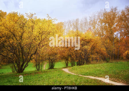 Paysage d'automne : Chemin de ronde dans la forêt composée de Wilding pommiers et les bouleaux à jour ensoleillé en Septembre Banque D'Images