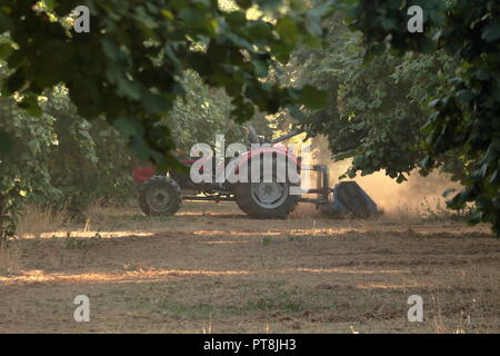 garçon volontaire travaillant sur tracteur dans son champ en utilisant des précautions pour protéger ses poumons Banque D'Images