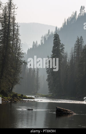 Le calme de la rivière Selway dans la Selway-Bitterroot, désert de l'Idaho. Banque D'Images