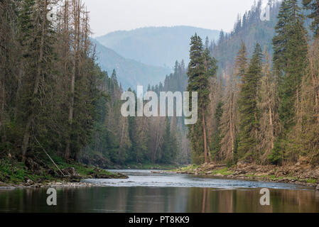 Le calme de la rivière Selway dans la Selway-Bitterroot, désert de l'Idaho. Banque D'Images