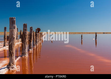 La saumure et le sel gros plan de lac Rose, colorés par des microalgues Dunaliella salina, célèbre pour ses propriétés antioxydantes, l'enrichissement de l'eau par le bêta-carotène, Banque D'Images