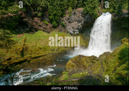 Sahalie Falls sur la rivière McKenzie, de l'Oregon dans les monts Cascade Banque D'Images