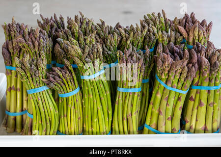 Les plateaux de l'asperge en bottes à vendre à un marché à la ferme à Washington Yakima Banque D'Images