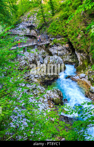 Les gens dans la gorge et une passerelle. Banque D'Images