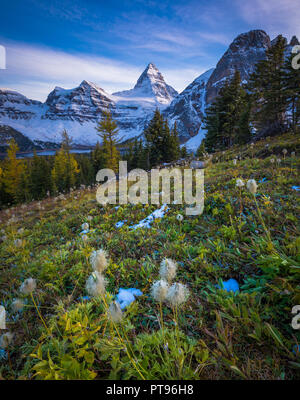 Le mont Assiniboine, également connu sous le nom de la montagne, de l'Assiniboine est un pic pyramidal situé sur la montagne la grande division, sur la Colombie-Britannique et l'Alberta borde Banque D'Images