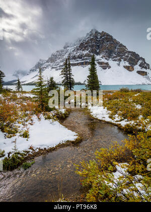 Le Lac Bow est un petit lac à l'ouest de l'Alberta, Canada. Il est situé sur la rivière Bow, dans les Rocheuses canadiennes, à une altitude de 1920 m. Le lac se trouve Banque D'Images