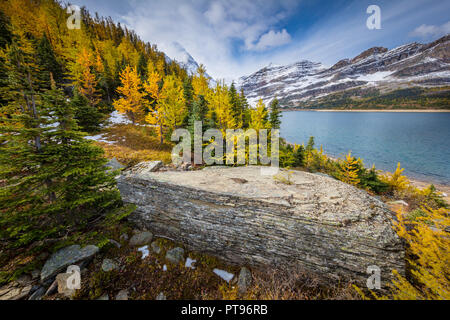 Le mont Assiniboine, également connu sous le nom de la montagne, de l'Assiniboine est un pic pyramidal situé sur la montagne la grande division, sur la Colombie-Britannique et l'Alberta borde Banque D'Images