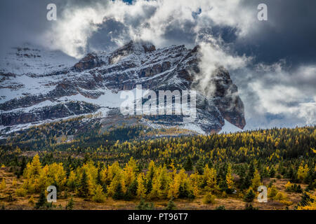 Le parc provincial du mont Assiniboine est un parc provincial de la Colombie-Britannique, Canada, situé autour du mont Assiniboine. Banque D'Images