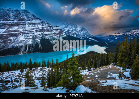 Le glacier Peyto Lake est un lac dans le parc national de Banff dans les Rocheuses canadiennes. Le lac lui-même est facilement accessible depuis la promenade des Glaciers. Banque D'Images