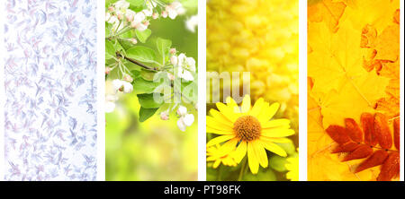 Quatre saisons de l'année. Ensemble de nature verticale des bannières avec l'hiver, printemps, été et automne scenes Banque D'Images