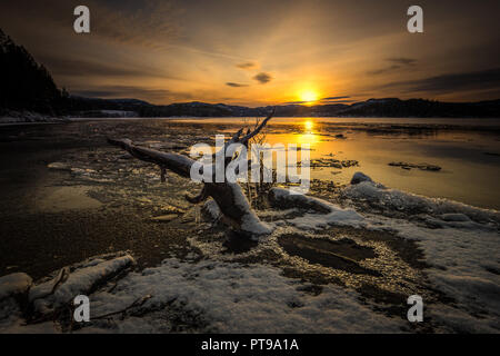 Rives du lac Jonsvatnet gel près de Trondheim, Norvège, coucher de lumière et de couleurs. Banque D'Images