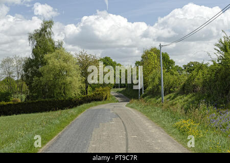 Route de campagne au printemps (Mayenne, Pays de la Loire, France). Banque D'Images