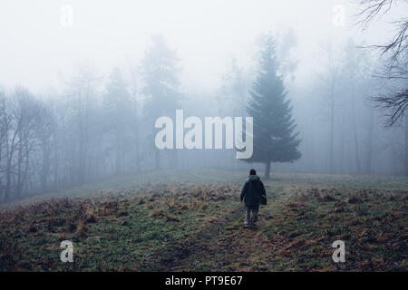 Un jeune homme se dresse dans la brume sur une prairie en face d'une forêt Banque D'Images