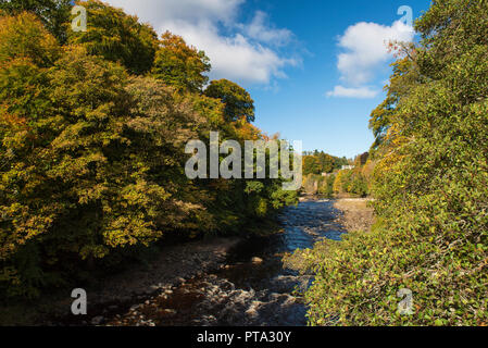 Couleurs d'automne sur la rivière Ericht, Blairgowrie, Perthshire, en Écosse. Banque D'Images