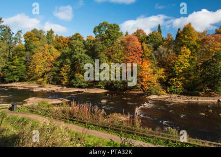 Couleurs d'automne sur la rivière Ericht, Blairgowrie, Perthshire, en Écosse. Banque D'Images