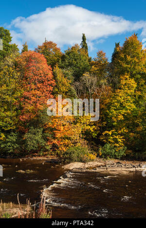 Couleurs d'automne sur la rivière Ericht, Blairgowrie, Perthshire, en Écosse. Banque D'Images