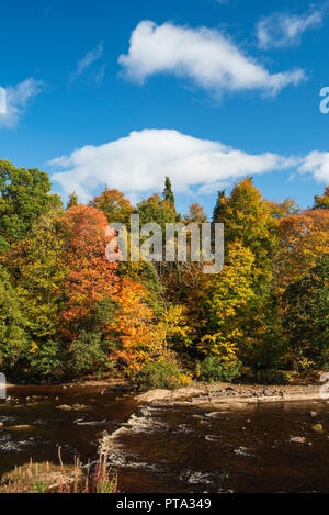 Couleurs d'automne sur la rivière Ericht, Blairgowrie, Perthshire, en Écosse. Banque D'Images