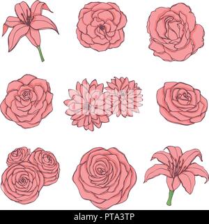Hand drawn vector set de rose rose, muguet, pivoine et contour chrysanthèmes isolé sur le fond blanc. Vintage décoration florale. Illustration de Vecteur